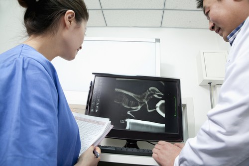 Advanced Digital X-rays Reno, NV