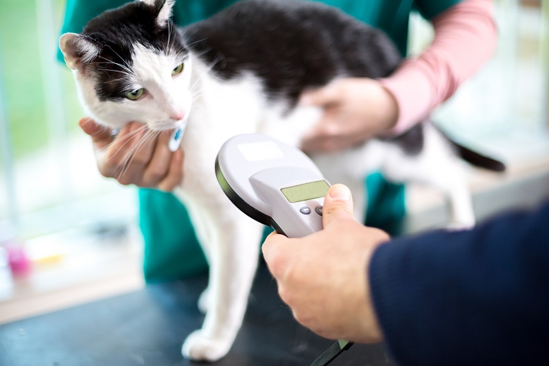 Microchipping Reno, NV